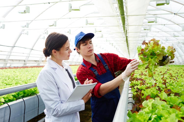 Agricultural development