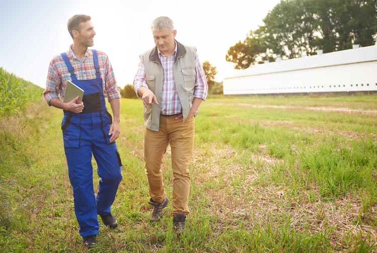 Experienced farmers on the field