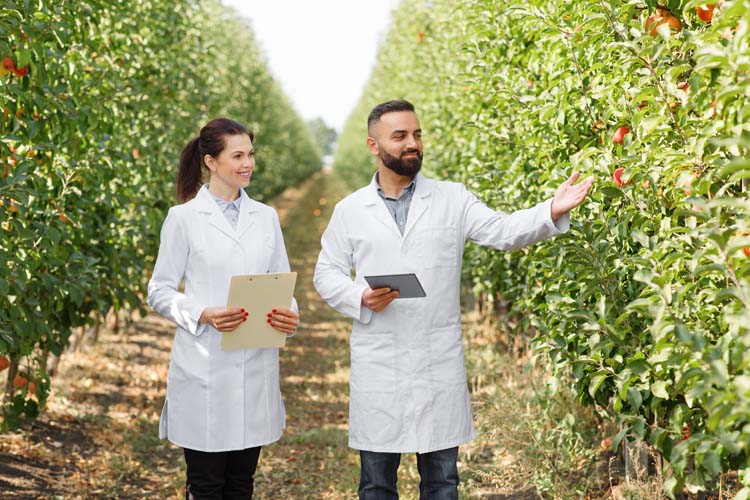 Orcharding, farmers working in farm, making notes, agricultural